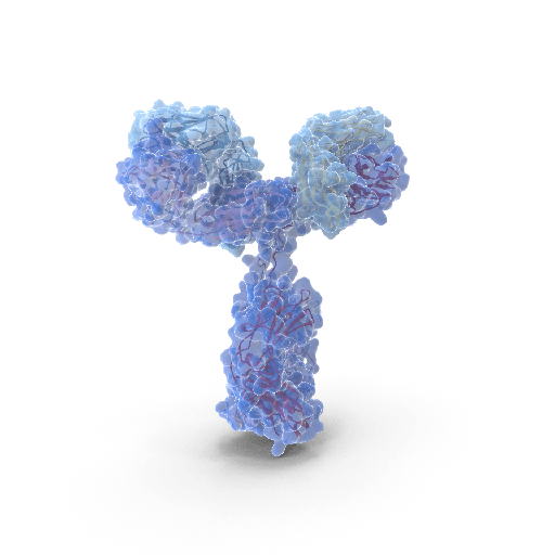 [ RAL-10A] Anti-Bovine Albumin (BSA) Ab CAT# RAL-10A